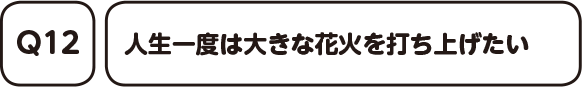 Q12. 人生一度は大きな花火を打ち上げたい