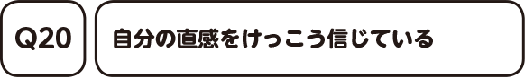 Q20. 自分の直感をけっこう信じている