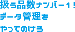 扱う品数ナンバー1！データ管理をやってのけろ